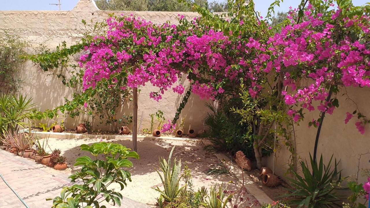 Dar Janis Djerba دار يانيس جربة Lägenhet Houmt Souk  Exteriör bild
