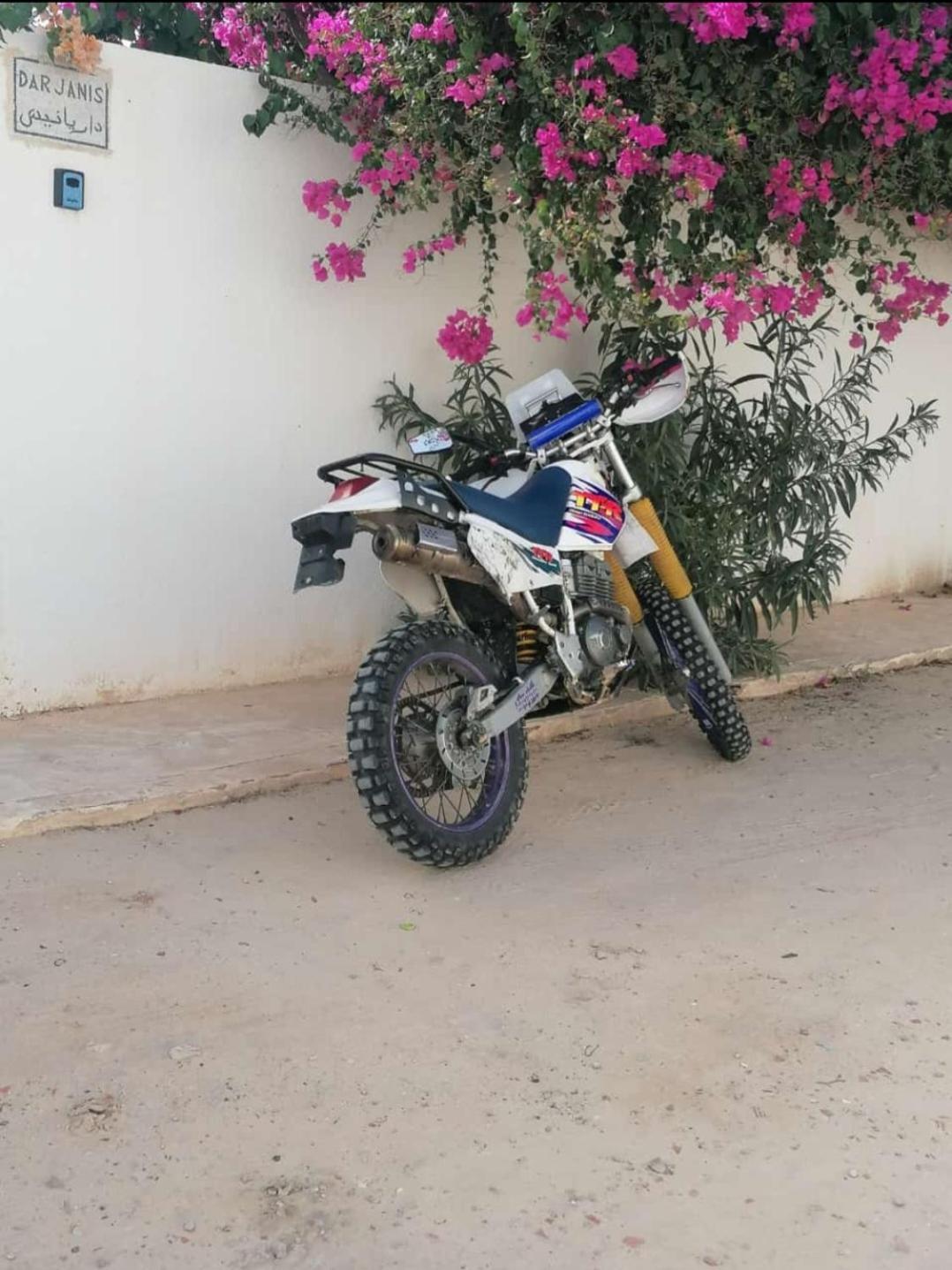 Dar Janis Djerba دار يانيس جربة Lägenhet Houmt Souk  Exteriör bild